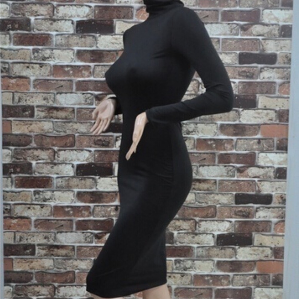 NWT Ladies Long Sleeved Turtle neck dress Sz med - Picture 3 of 5